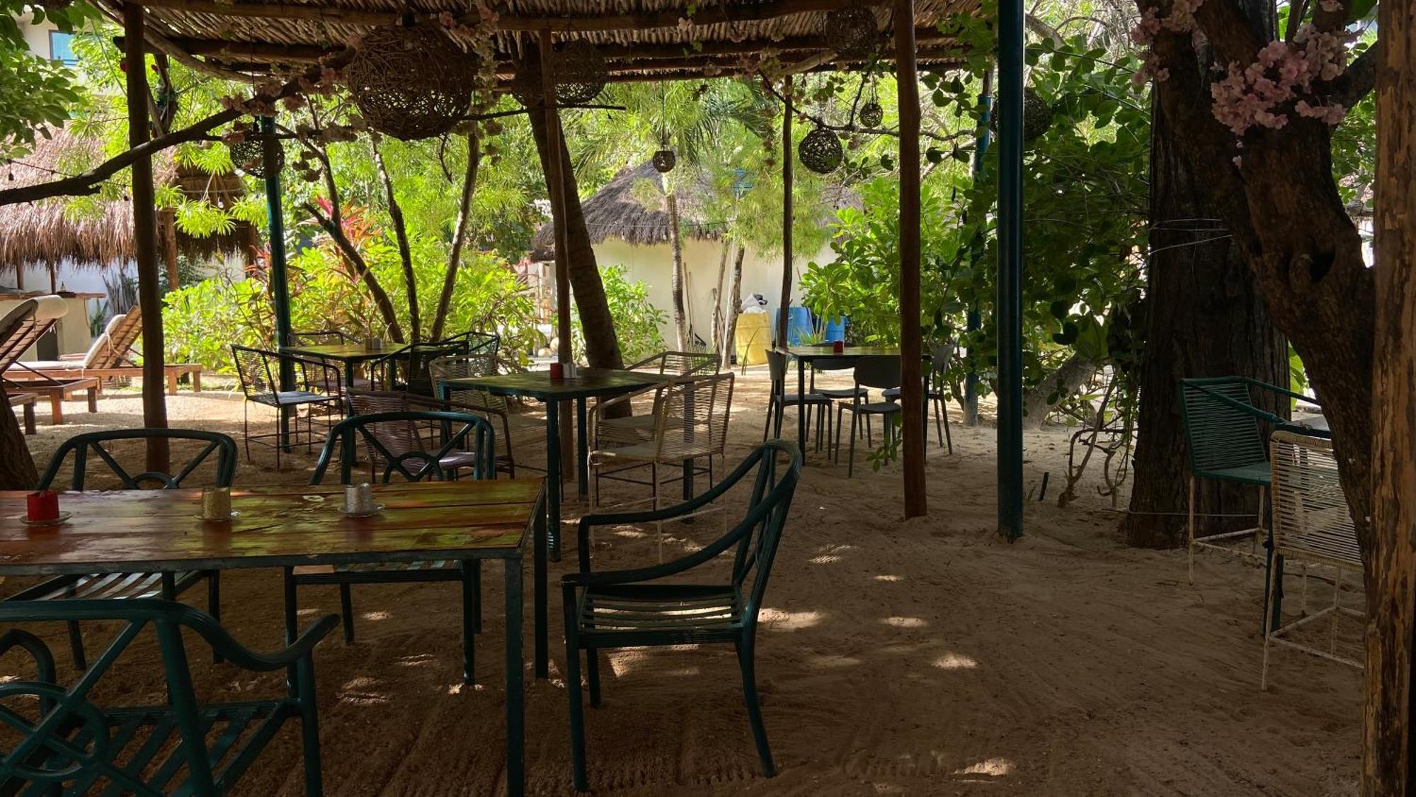 Nature Stay (Adults Only) Playa del Carmen Exterior photo