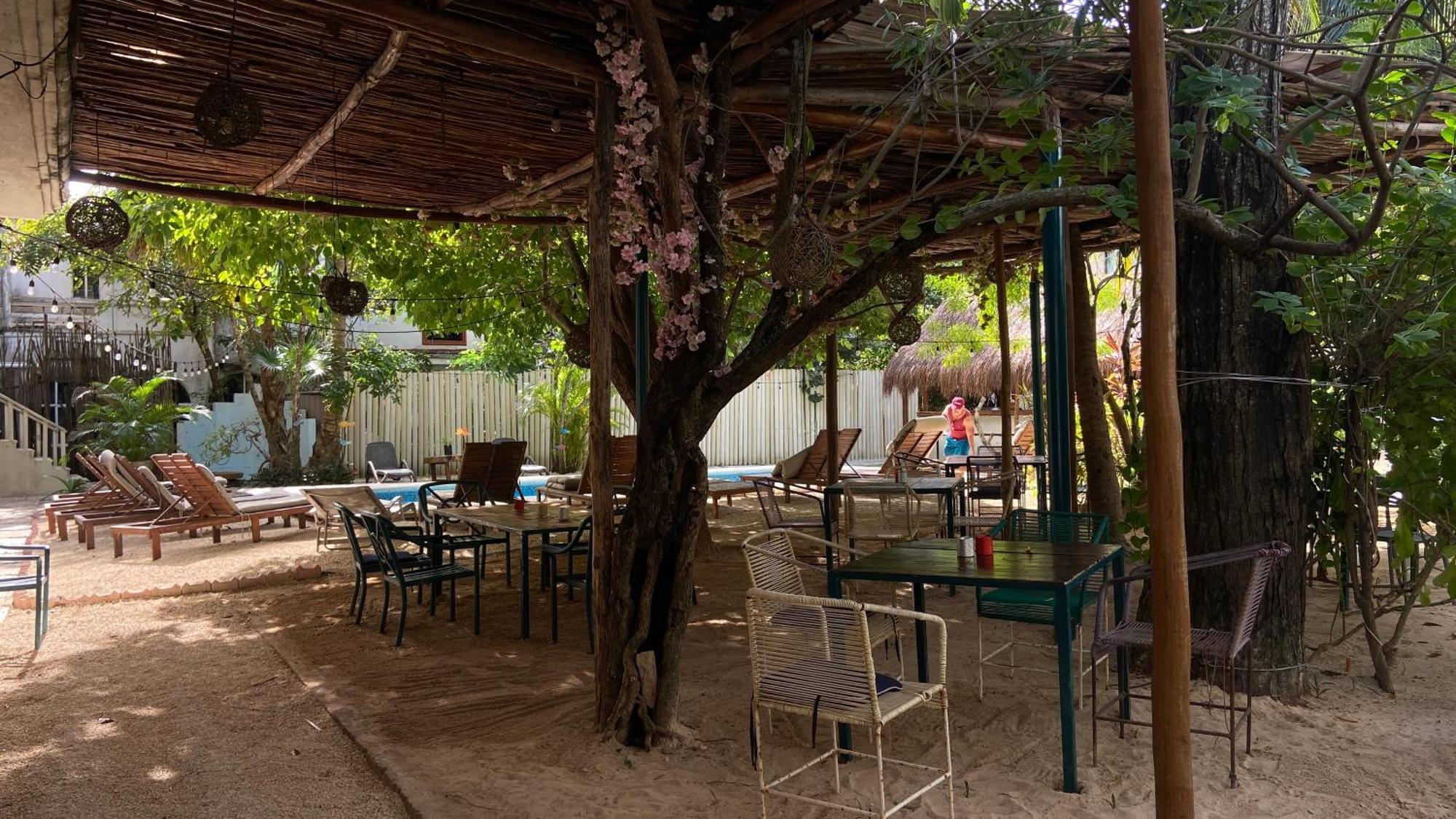 Nature Stay (Adults Only) Playa del Carmen Exterior photo