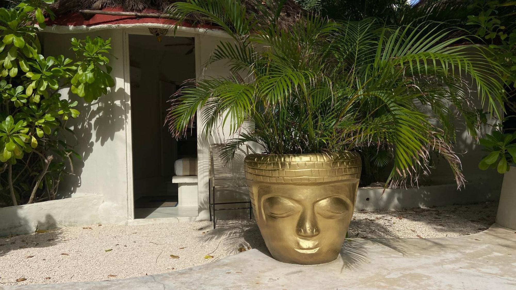 Nature Stay (Adults Only) Playa del Carmen Exterior photo