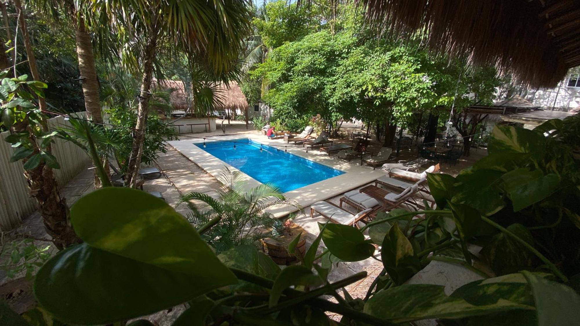 Nature Stay (Adults Only) Playa del Carmen Exterior photo